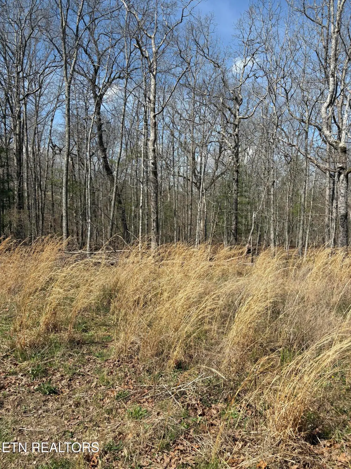 2017 Tres Circle, Crossville, TN 38572 - #1