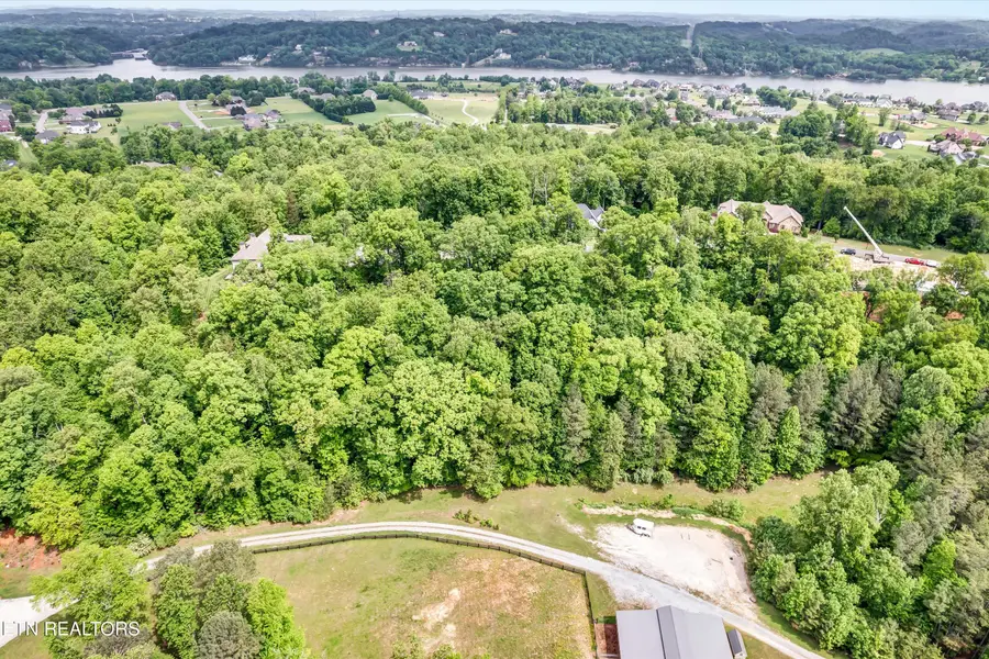 3331 Preserve Pointe, Louisville, TN 37777 - #2