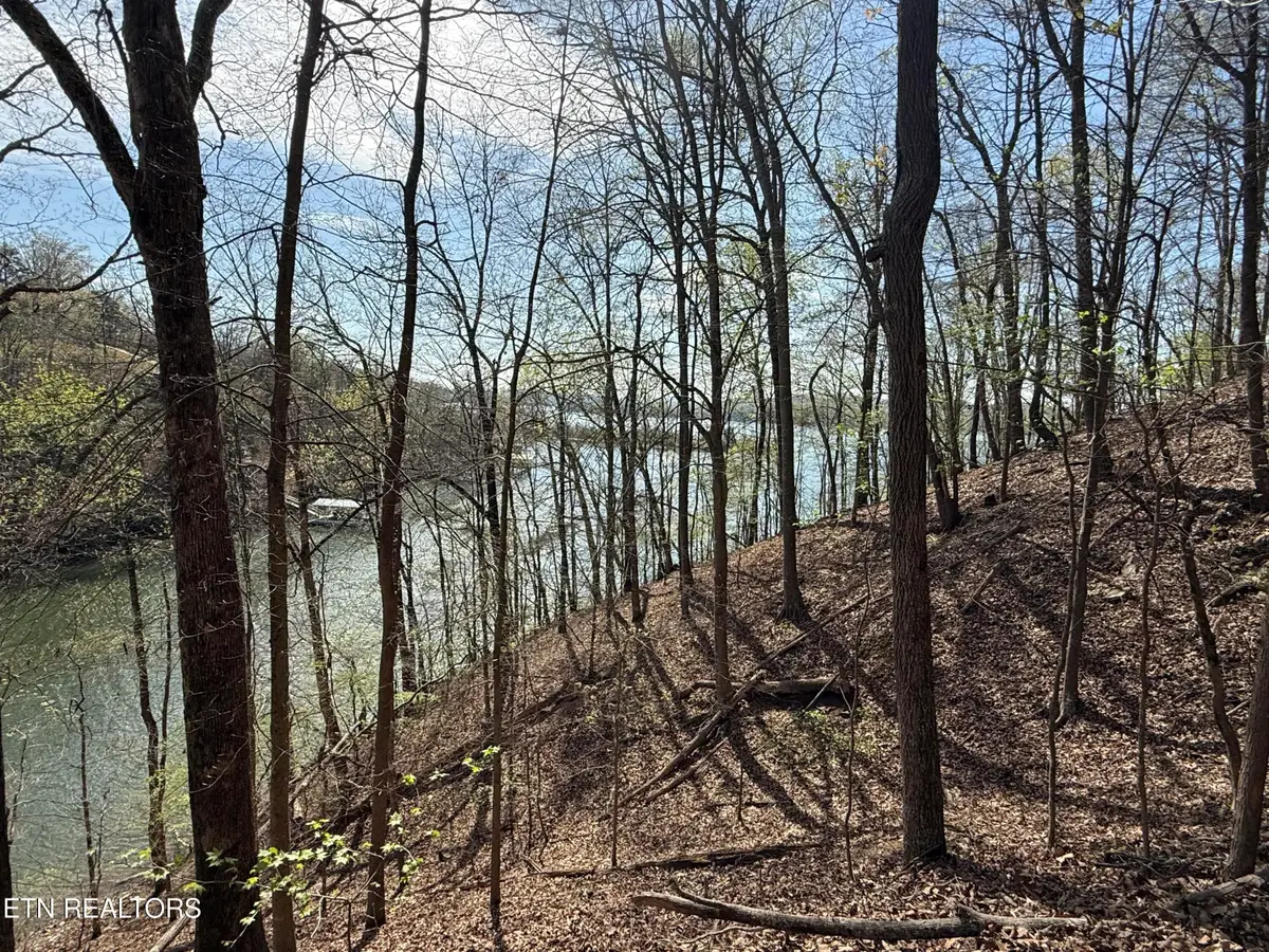 39 Eerie Point #lot 39, Rockwood, TN 37854 - #1