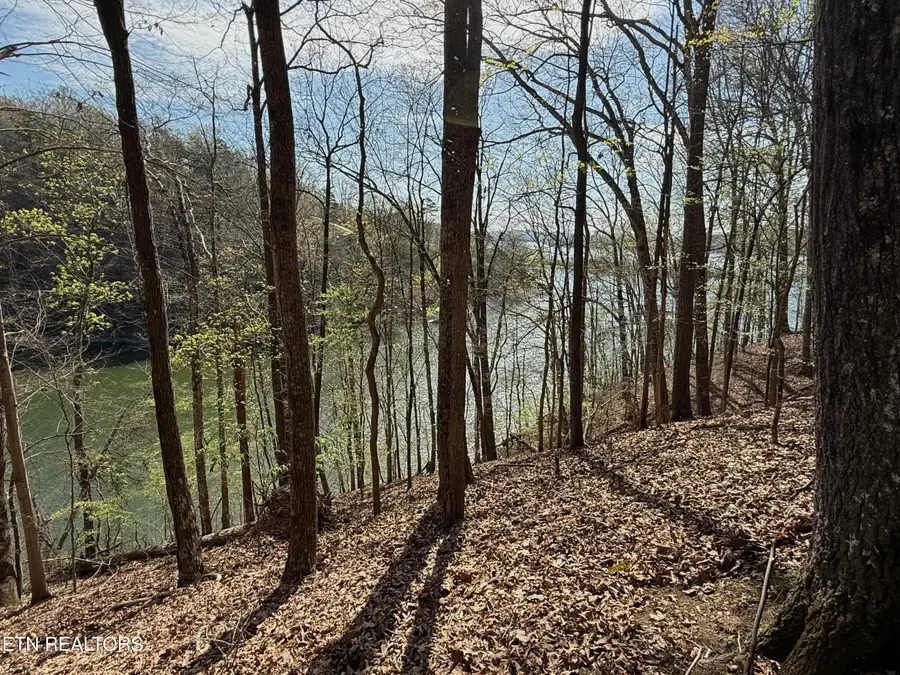 39 Eerie Point #lot 39, Rockwood, TN 37854 - #2