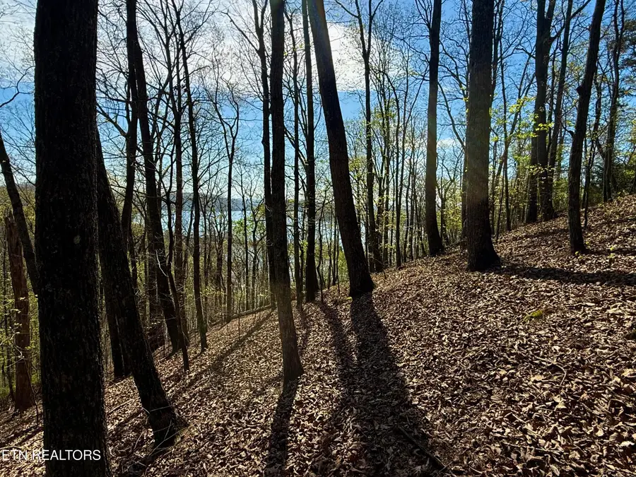 39 Eerie Point #lot 39, Rockwood, TN 37854 - #3