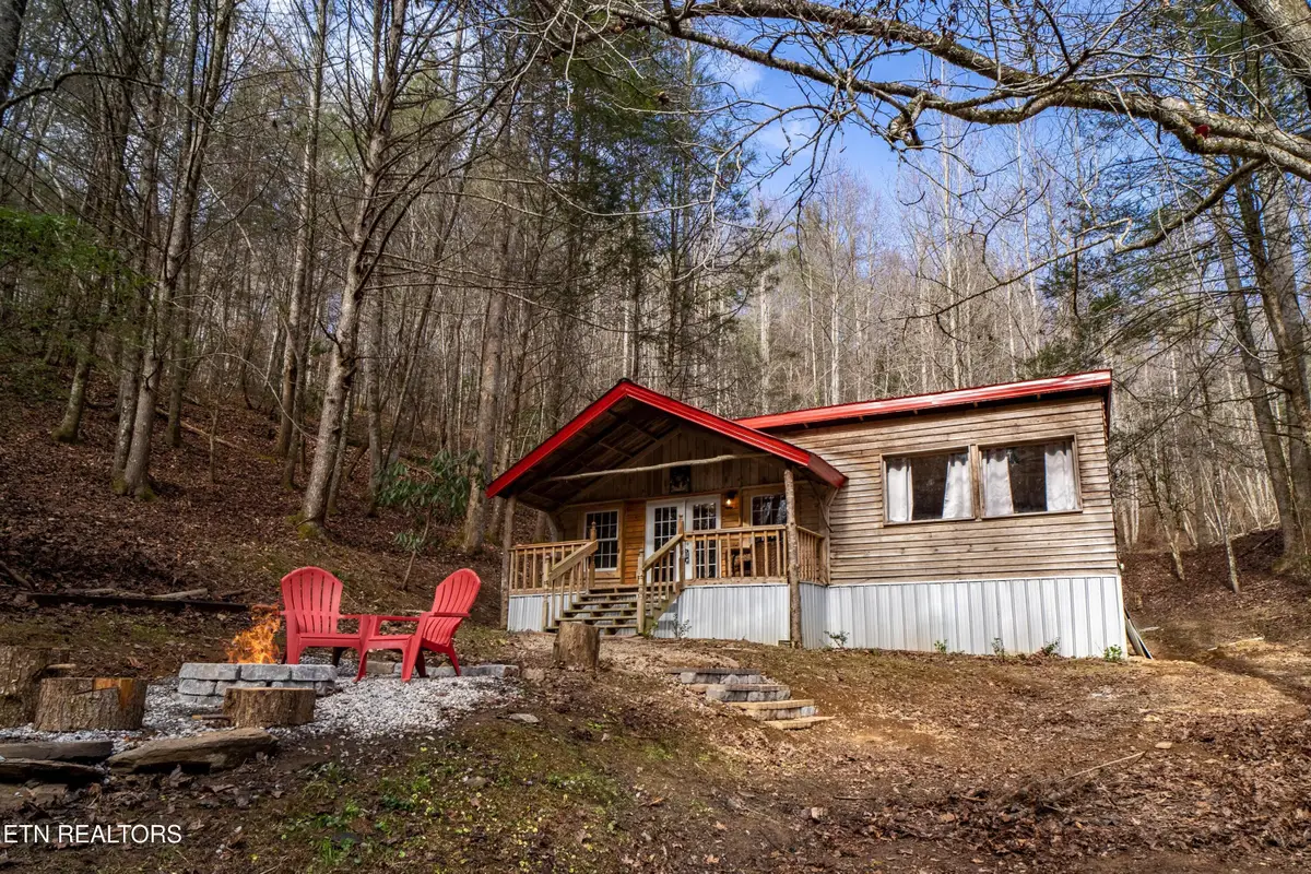 915 Newcombe Branch Way, Cosby, TN 37722 - #1