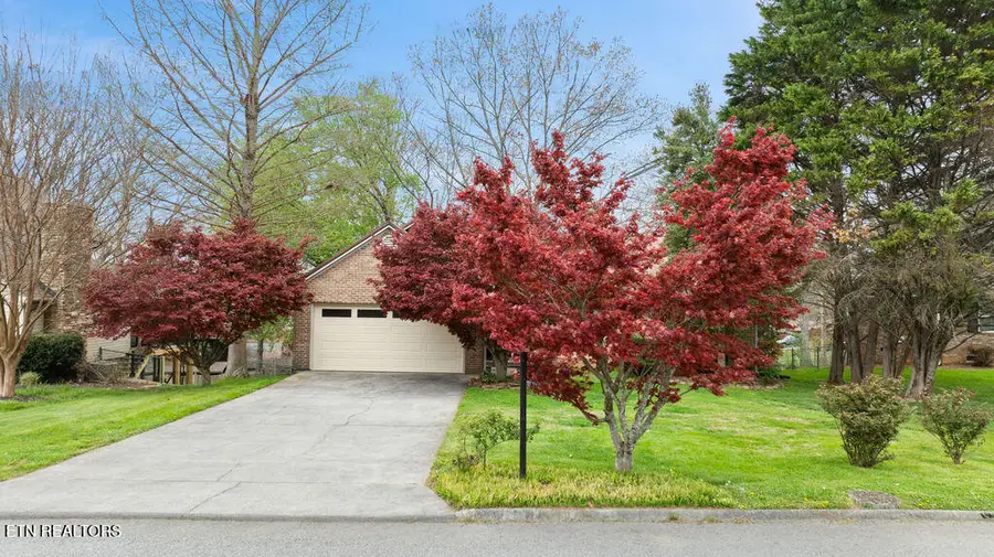 6609 Springer Drive, Knoxville, TN 37918 - #3