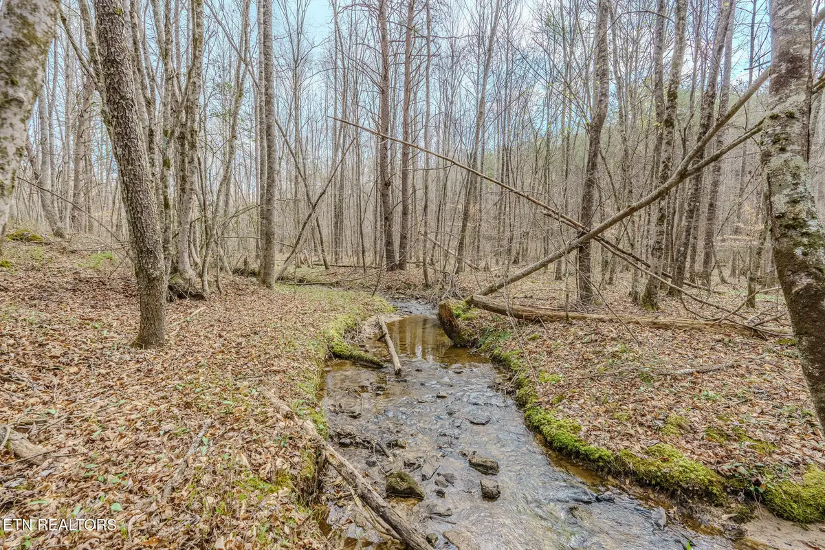 1259 Steve Brown Rd, Bean Station, TN 37708 - #1