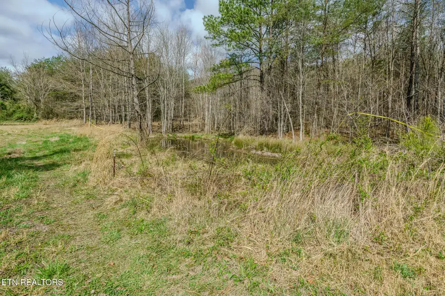 1259 Steve Brown Rd, Bean Station, TN 37708 - #2