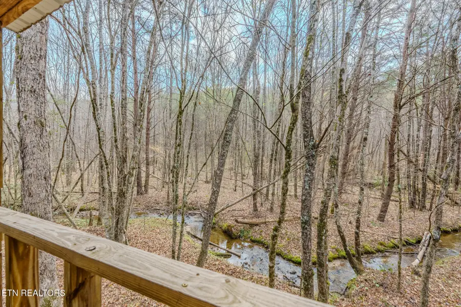 1259 Steve Brown Rd, Bean Station, TN 37708 - #3