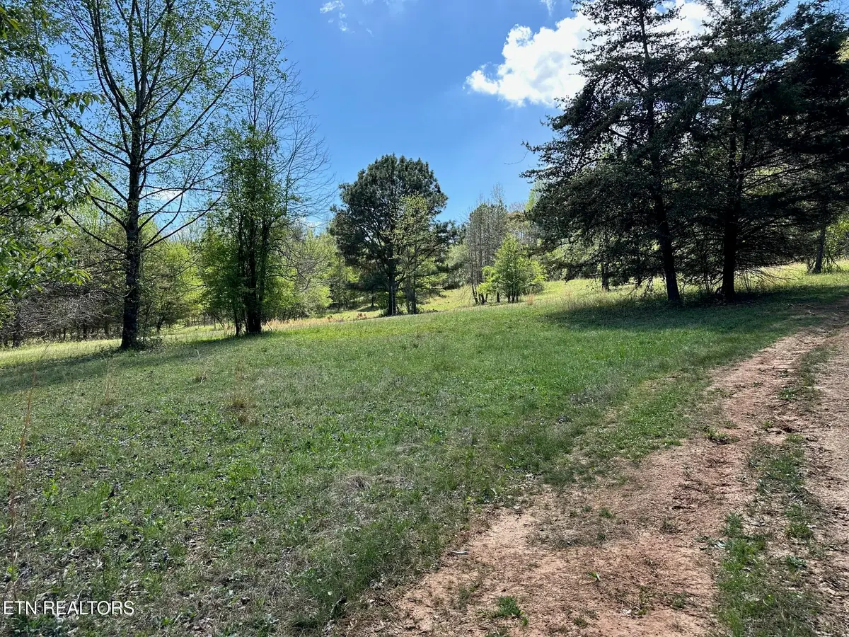 0 White Pine Rd Off Rd, Harriman, TN 37748 - #1