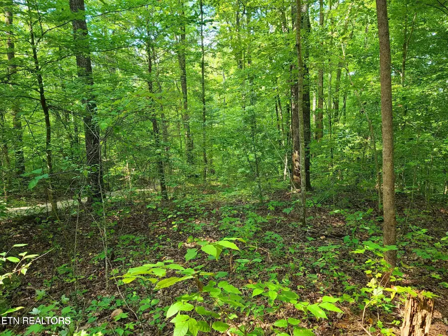 Lot 9 Walden Flats Way, Sevierville, TN 37862 - #3