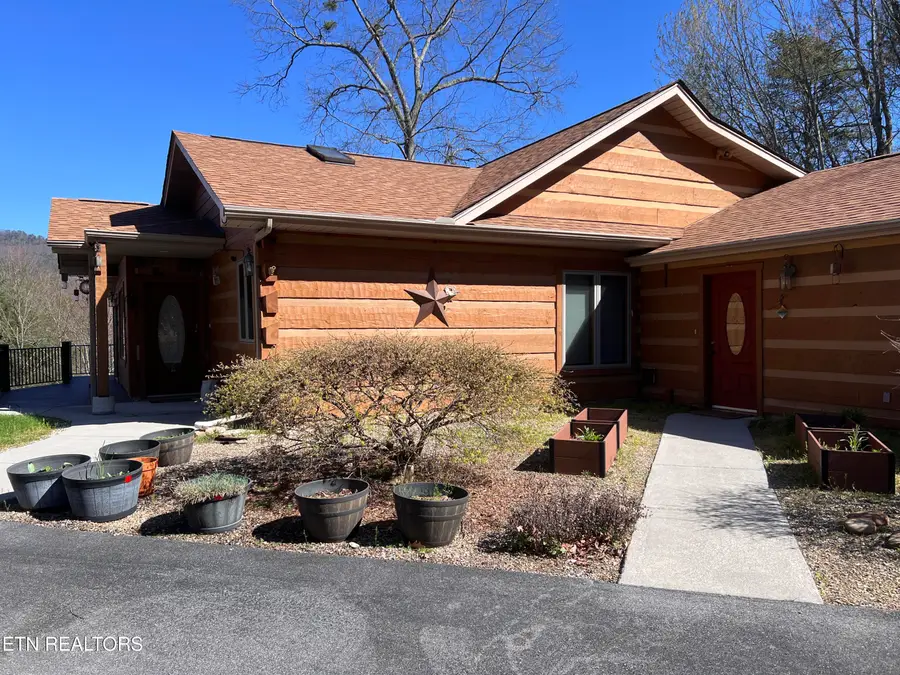 427 Gold Rd, Cosby, TN 37722 - #3