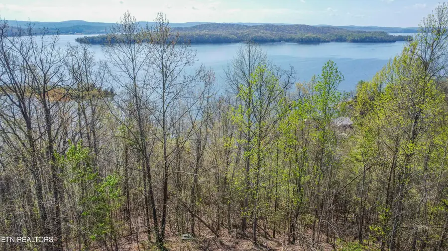 106 Eerie Point, Rockwood, TN 37854 - #3