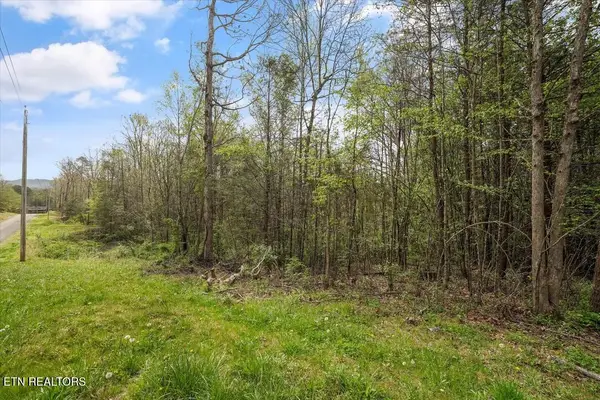 1433 Timber Trail, Newport, TN 37821