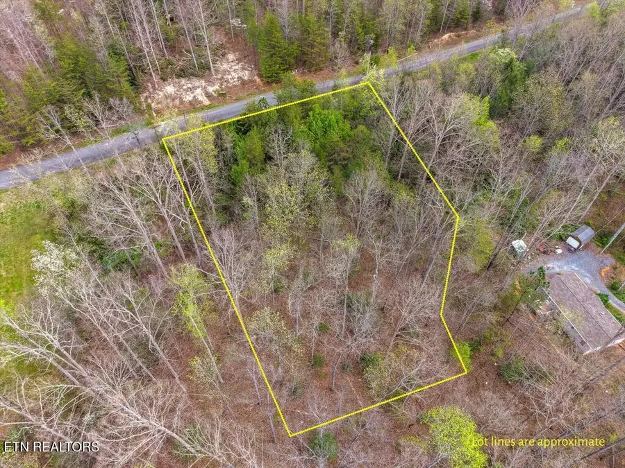 1433 Timber Trail, Newport, TN 37821 - #2