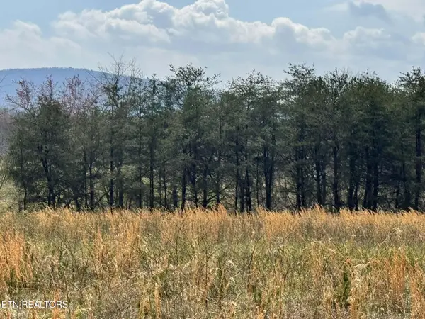 Knox, Crossville, TN 38555