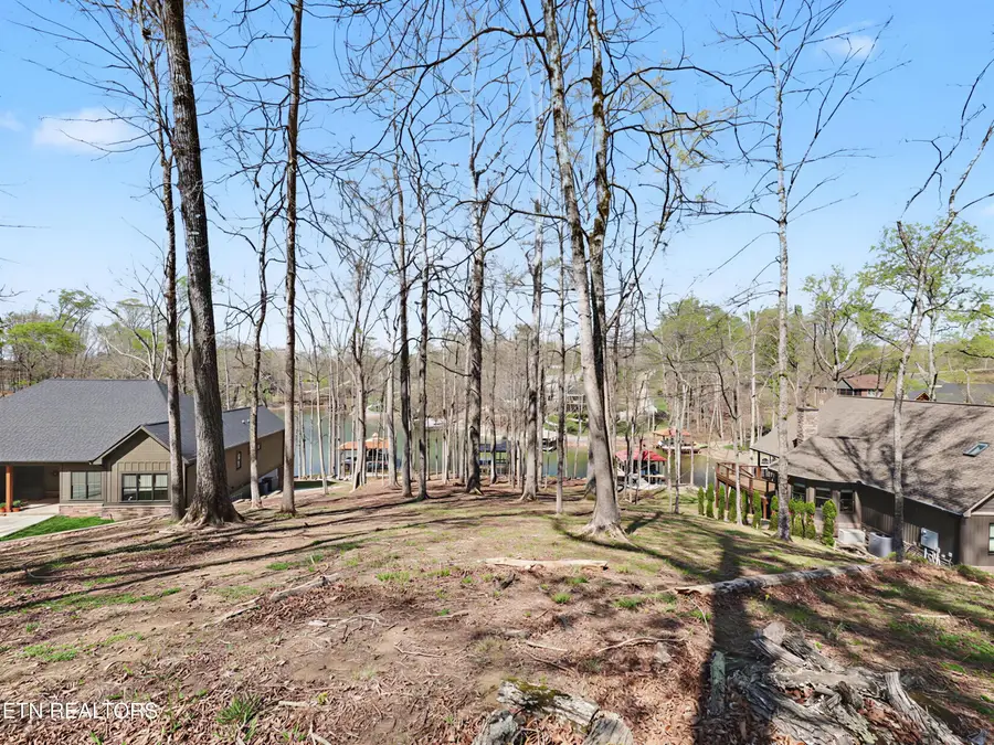 115 Cozy Cove Way, Ten Mile, TN 37880 - #2