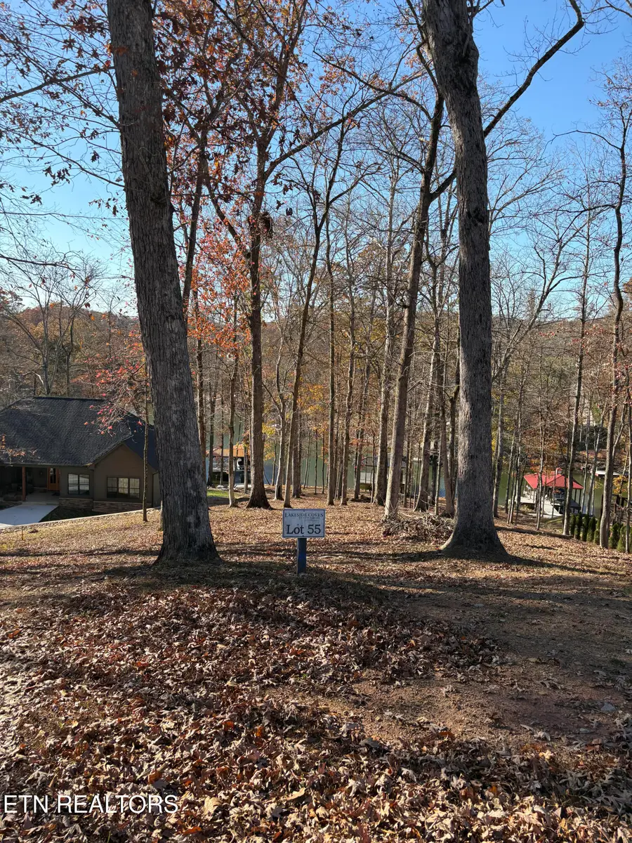 115 Cozy Cove Way, Ten Mile, TN 37880 - #3