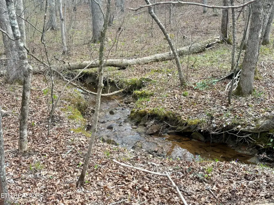 0 Crystal Point, Monterey, TN 38574 - #3