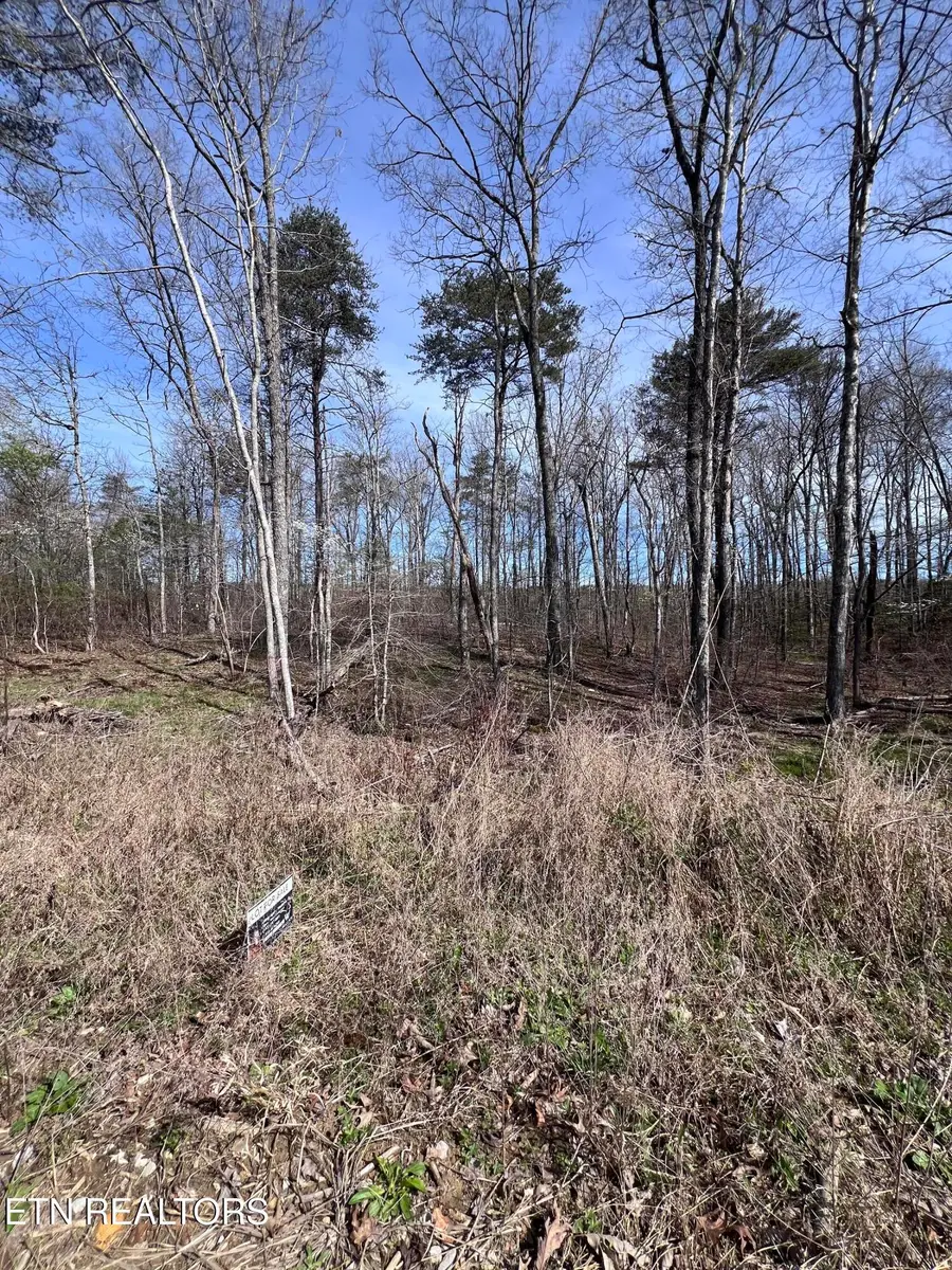 0.51 ac Lookout Drive, Crossville, TN 38572 - #3