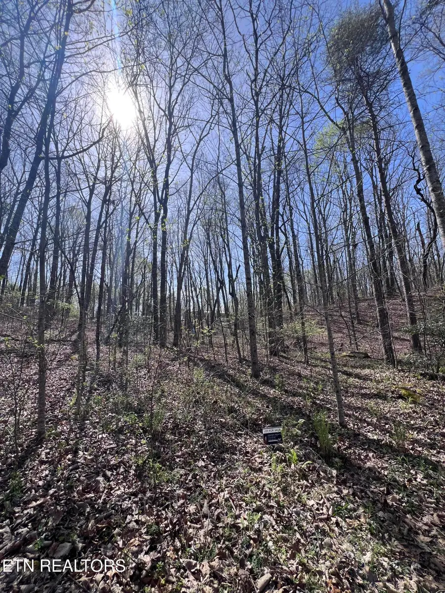 1.31 ac Retreat Circle, Crossville, TN 38572 - #3