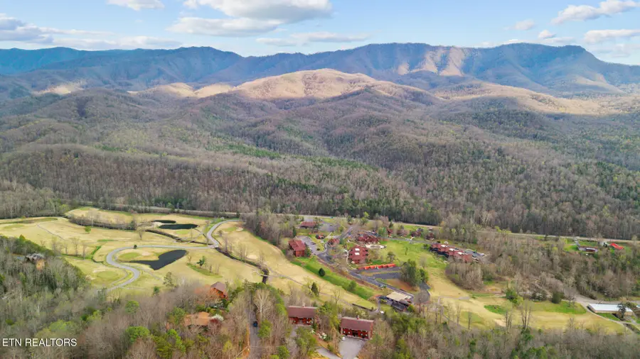 429 Deer Path Lane #106, Gatlinburg, TN 37738 - #3