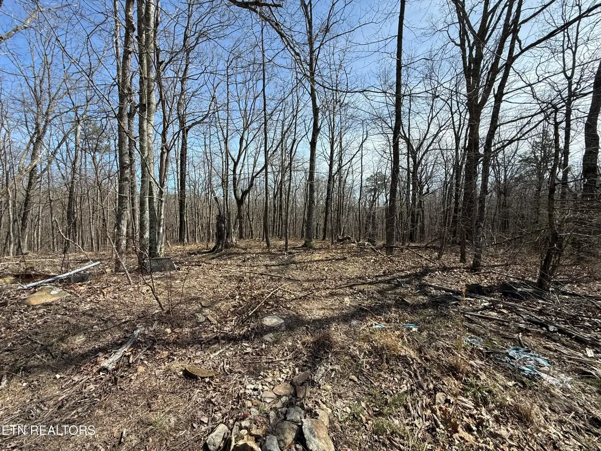 Lot 69 W Log Rd, Spring City, TN 37381 - #1