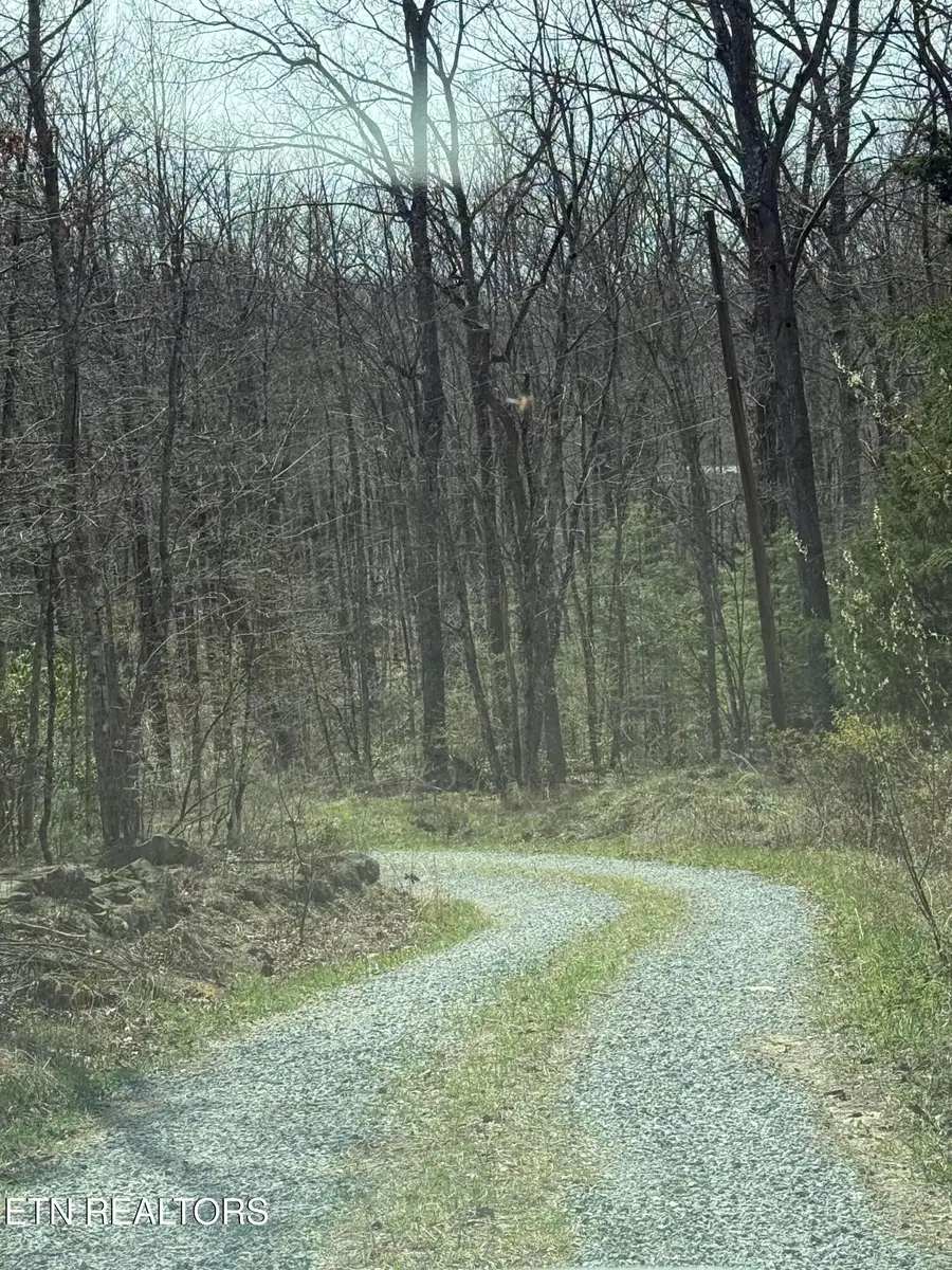 Lot 69 W Log Rd, Spring City, TN 37381 - #2