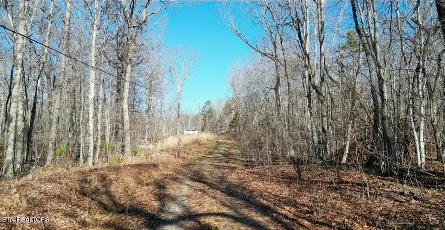 Lot 69 W Log Rd, Spring City, TN 37381 - #3