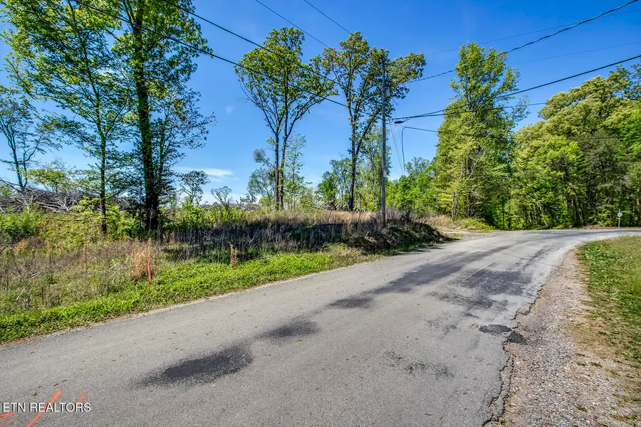 171 Hornby Ferry Rd, Decatur, TN 37322 - #3
