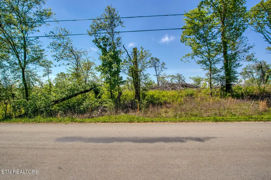 713 Oak Grove Rd, Decatur, TN 37322 - #2