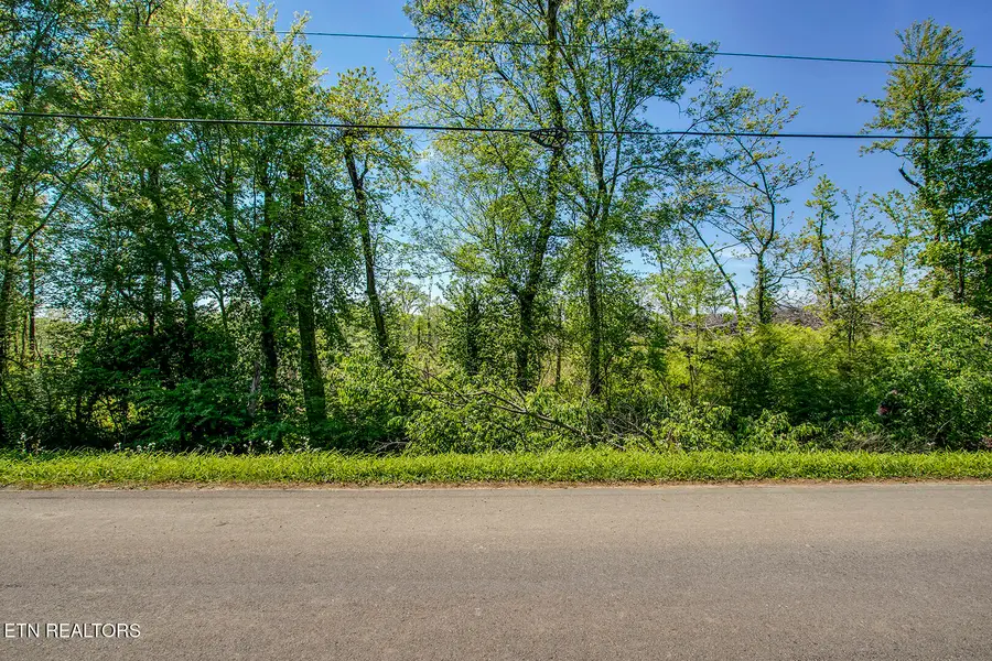 695 Oak Grove Rd, Decatur, TN 37322 - #2