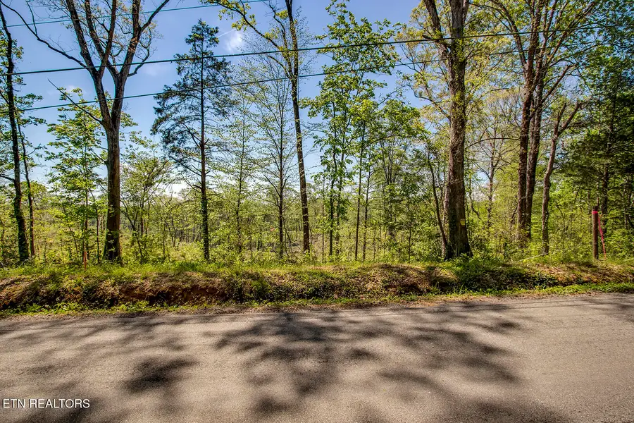 645 Oak Grove Rd, Decatur, TN 37322 - #2