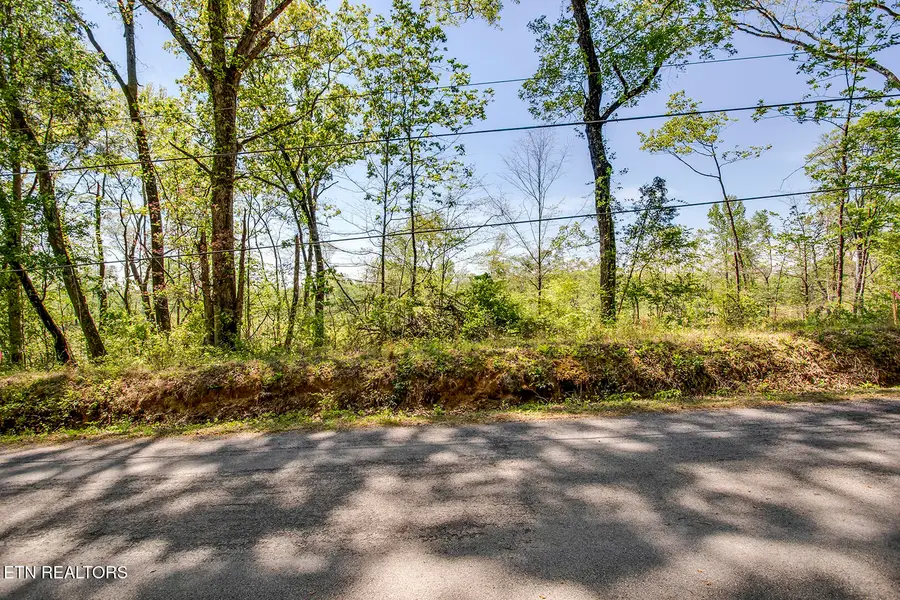 555 Oak Grove Rd, Decatur, TN 37322 - #2