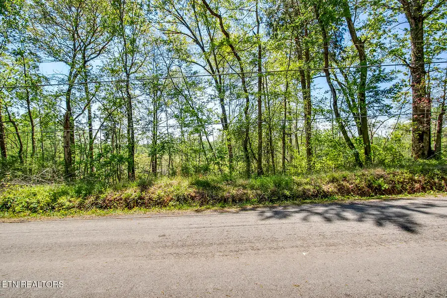 549 Oak Grove Rd, Decatur, TN 37322 - #2