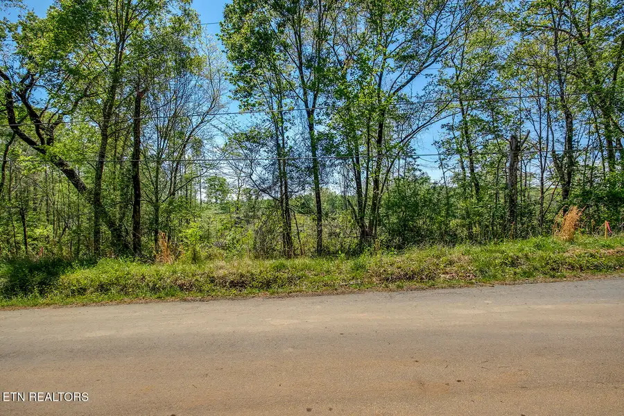 537 Oak Grove Rd, Decatur, TN 37322 - #2
