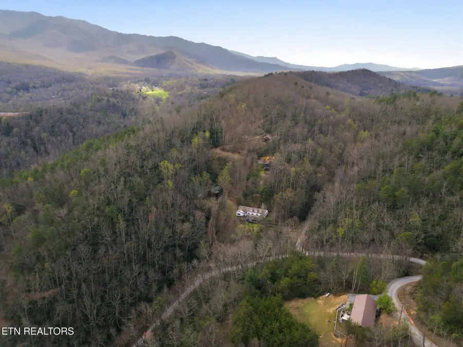 337 Costner Rd, Cosby, TN 37722 - #2