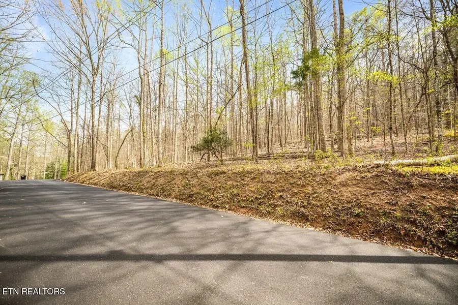 Sequoyah Lot 93 Rd, Andersonville, TN 37705 - #3