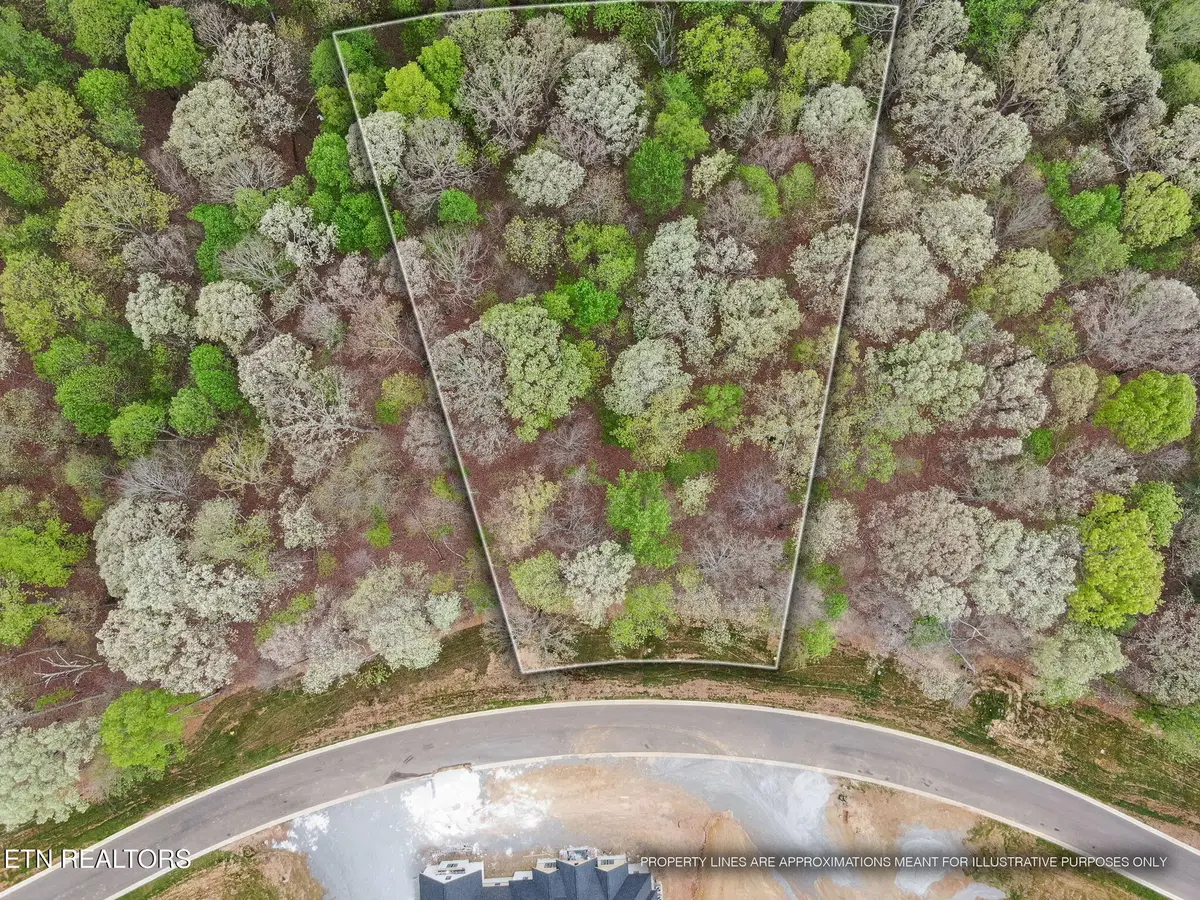 289 Flip Flop Way, Loudon, TN 37774 - #1