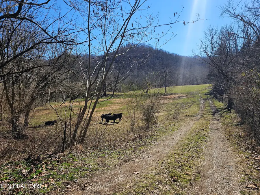 Tbd Route 70, Jonesville, VA 24263 - #3