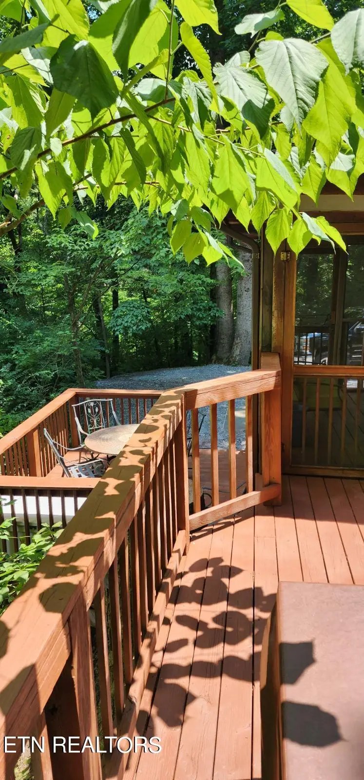 7116 E Lamar Alexander Pkwy, Townsend, TN 37882 - #3