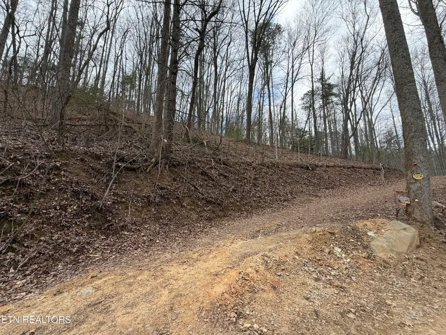 4.01 Reece Hollow Rd, Del Rio, TN 37727 - #2