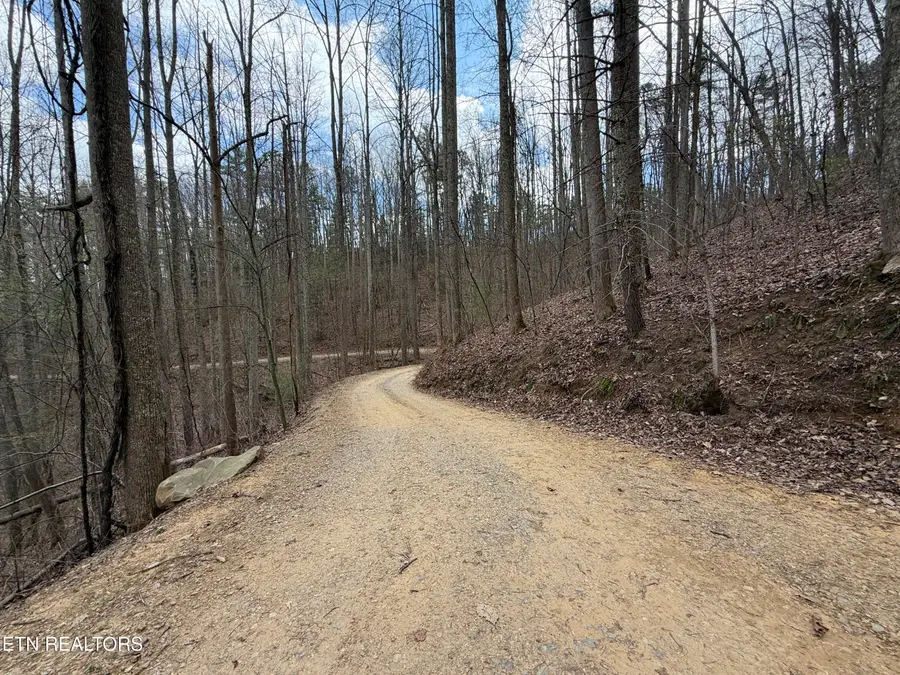 4.01 Reece Hollow Rd, Del Rio, TN 37727 - #3