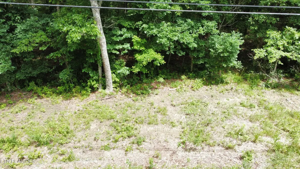 4010 Moonbeam Tr, Crossville, TN 38572 - #1