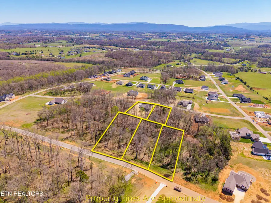 1221 Kellys View Drive, Greenback, TN 37742 - #2