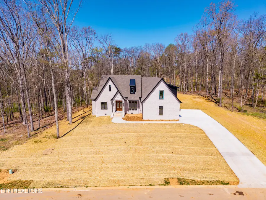 1221 Kellys View Drive, Greenback, TN 37742 - #3