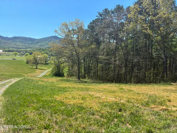 Highway 411, Sevierville, TN 37876