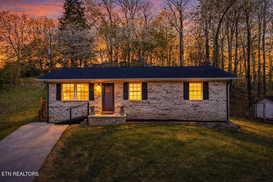 225 Country Way Drive, Lafollette, TN 37766 - #3