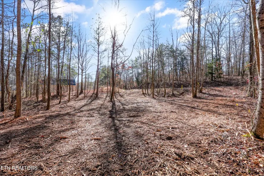 Sunrise Lane, Decatur, TN 37322 - #2