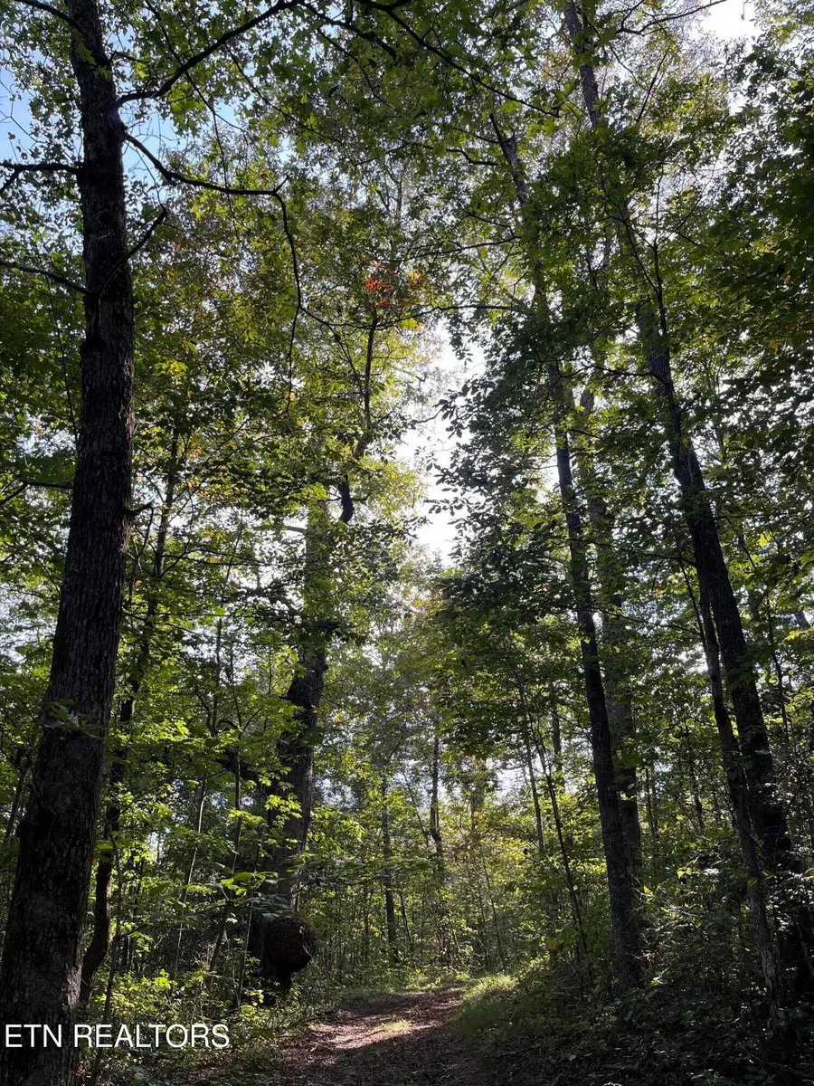 Ridge Top Drive, Jamestown, TN 38556 - #3