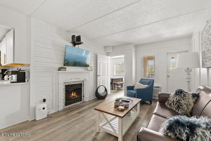 413 Baskins Creek Rd #605, Gatlinburg, TN 37738 - #3