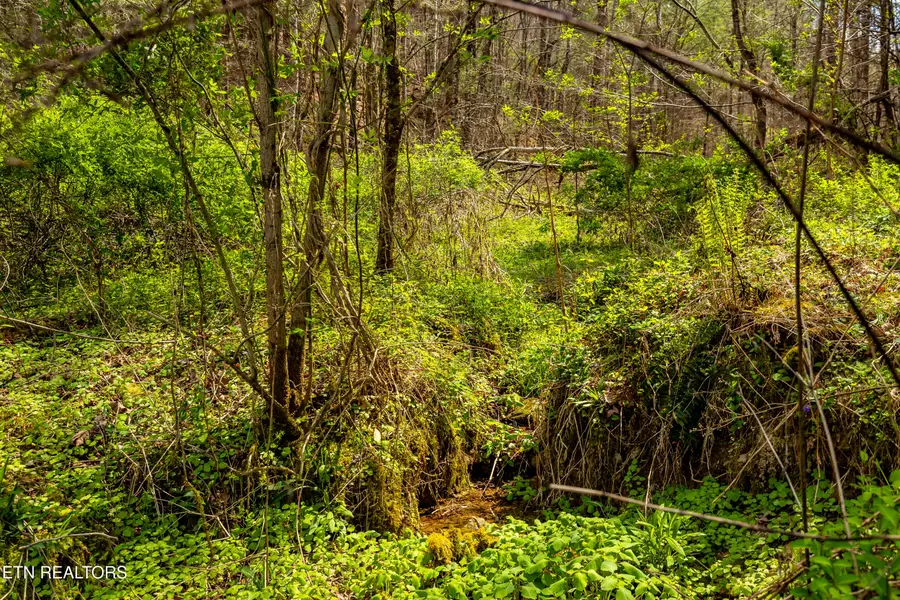 1700 Rafter Rd, Tellico Plains, TN 37385 - #3