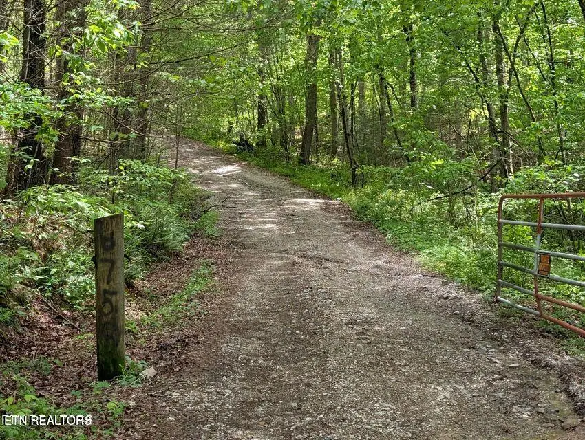 158 Jess Ridge Rd, Lancing, TN 37770 - #2